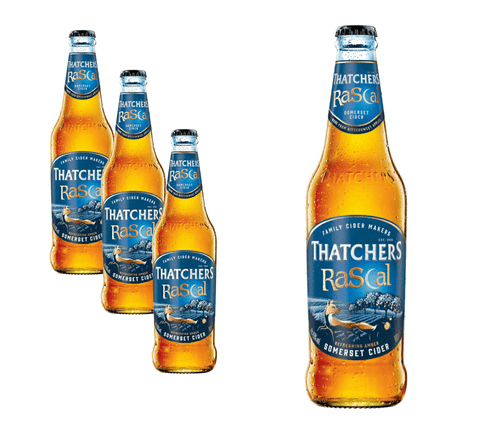 Thatchers Rascal 0,5l- Refreshing Amber Somerset Cider mit 4,5% Vol. - Apfelwein aus Großbritannien