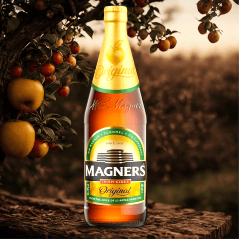 Magners Original Cider – Irischer Apfel-Cider 568 ml