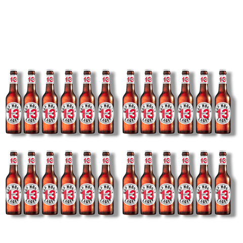 Guinness Hop House 13 – Hoppy Lager 330ml mit 5 % Vol.
