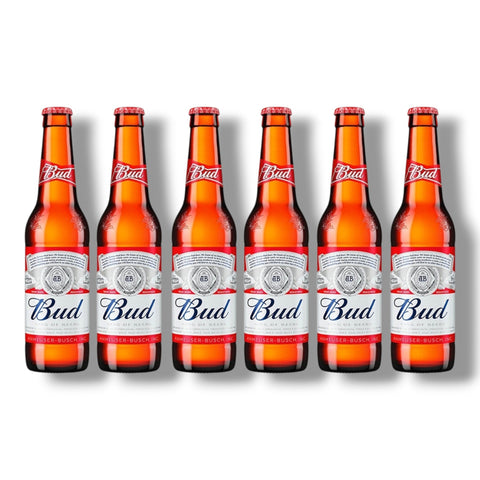 Bud Bier 6er Pack – American Lagerbier 6 x 0,33 l