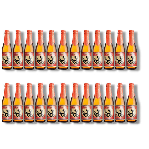 24 Flaschen DjuDju Passion Fruit à 0,33 l – exotisches Fruchtbier mit Passionsfruchtgeschmack