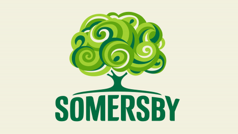 Somersby Mango & Lime 0,4l mit 4,5% Vol.- Biermischgetränk mit Mango & Limette