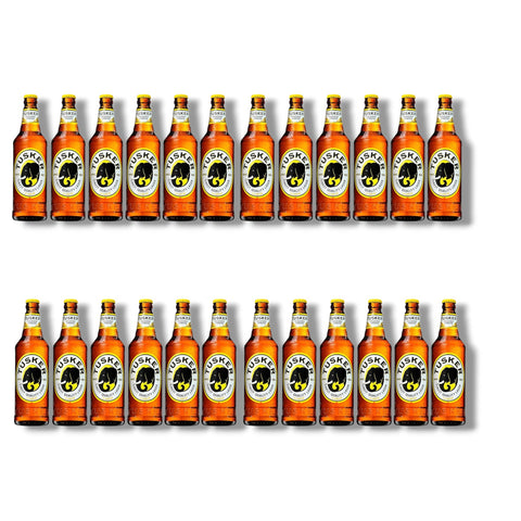 Tusker Lager 24er-Paket mit 24 Flaschen à 0,5 l – kenianisches Lagerbier mit 4,2 % Vol.