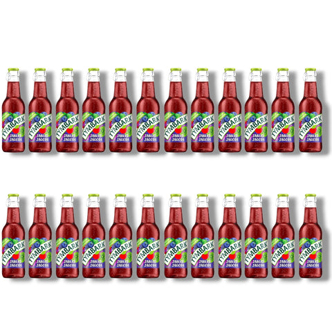 Tymbark Apfel Blaubeere 24er Pack 250ml